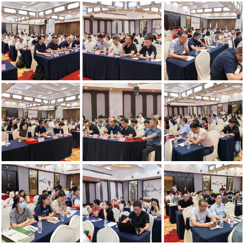 1724040704879565.png 1724040701556.png